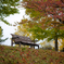 XT105417