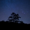 晩秋の空