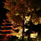 紅に染まる