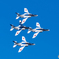 入間基地航空祭2016