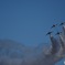 Le Grand Bleu 2016 - 4 ／ 88