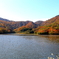 水鳥の池