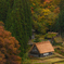 晩秋の山里