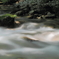 Soft Flow