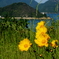 しまなみ初夏の景色