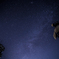 stars shining in the night sky