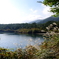 DSCF0276