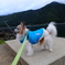 DSCF0246