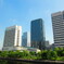 初夏の青空と緑