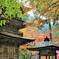 秋　横蔵寺