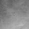 Swallow