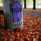Street -Red and purple-