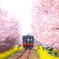 栃木の春