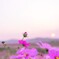 夫婦で見た夕焼け
