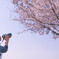 春の風