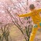 ピンクと黄色