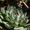植物園にて