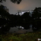 日比谷公園　心学池