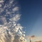 夕焼け小焼けでまたあした