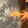 紅葉の影