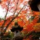 広島 佛通寺