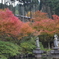 呑山観音寺の紅葉