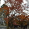呑山観音寺の紅葉