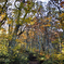 鳥取大山の紅葉