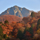 鳥取大山の紅葉