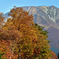 鳥取大山の紅葉