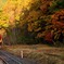 山峡の小さな駅