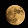 1日早いSupermoon