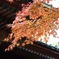 華厳寺