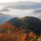 天空の紅葉ロード