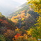 天空の紅葉ロード#2