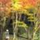 紅葉狩り#2