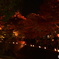 紅葉祭り