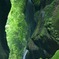 峡谷