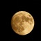 THE MOON