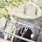 赤い橋 極楽寺