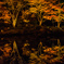 水面の紅葉