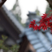 ひっそりと紅