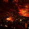 紅葉祭り（３）