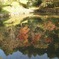 紅葉狩り