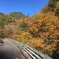 本谷橋(廃道)