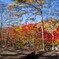 紅葉に包み込まれた笛吹キャンプ場