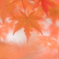 淡い紅葉