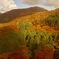 秋色に染まる山
