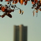秋のランドマークタワー