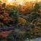 紅葉列車